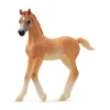 Manufacturer_Schleich Play Animals & Accessories<Arabian Foal by Schleich