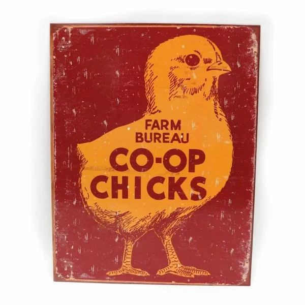 Outback Toys Branded Signs<Co-op Chicks Tin Sign 12x16 For Indoor Use