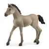 Manufacturer_Schleich Play Animals & Accessories<Criollo Definitivo Foal by Schleich