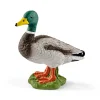 Manufacturer_Schleich Play Animals & Accessories<Drake (Duck) By Schleich