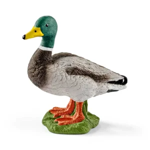 Manufacturer_Schleich Play Animals & Accessories<Drake (Duck) By Schleich