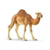 Manufacturer_Schleich Play Animals & Accessories<Dromedary Camel by Schleich