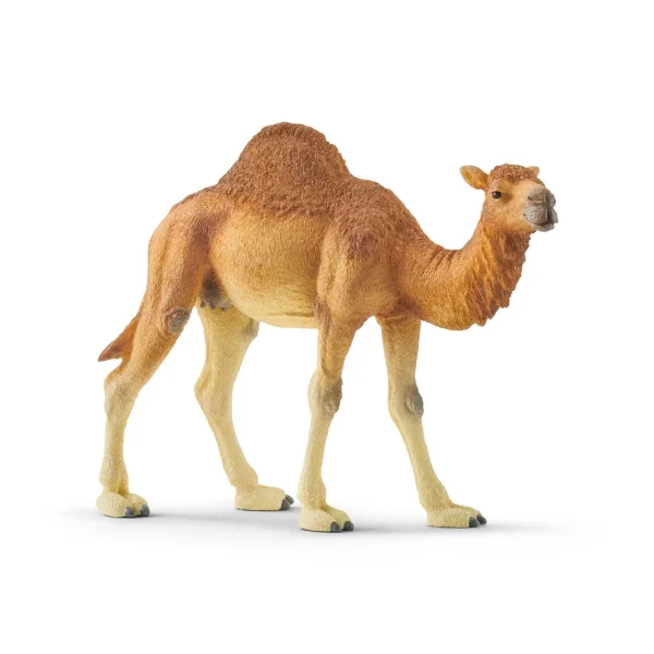 Manufacturer_Schleich Play Animals & Accessories<Dromedary Camel by Schleich