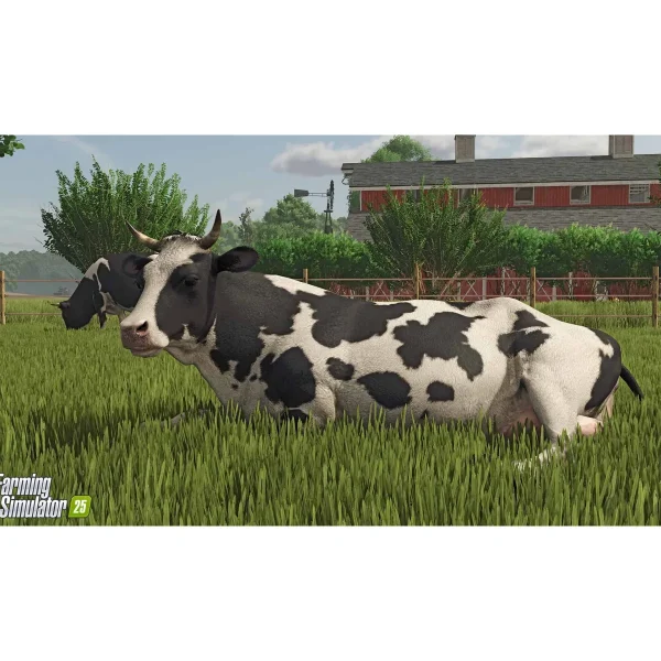 Outback Toys Books, Calendars & Dvds | Games & Puzzles<Farming Simulator 25 Collector's Edition for PC