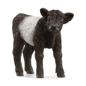Manufacturer_Schleich Play Animals & Accessories<Galloway Calf by Schleich