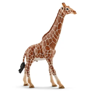 Manufacturer_Schleich Play Animals & Accessories<Giraffe Male by Schleich