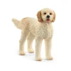 Manufacturer_Schleich Play Animals & Accessories<Goldendoodle Dog by Schleich