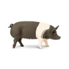 Outback Toys Play Animals & Accessories<Hampshire Pig by Safari Ltd
