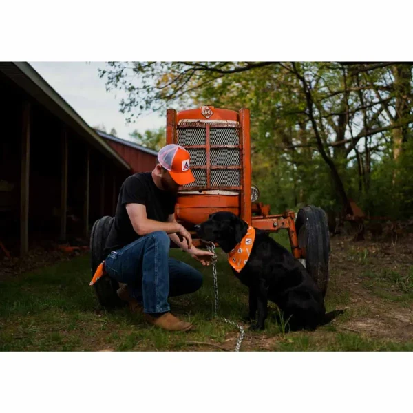 Outback Toys Agco, Allis, Massey & More<Modern Allis Chalmers Logo White Mesh Back Hat