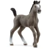 Manufacturer_Schleich Play Animals & Accessories<Selle Francais Foal by Schleich