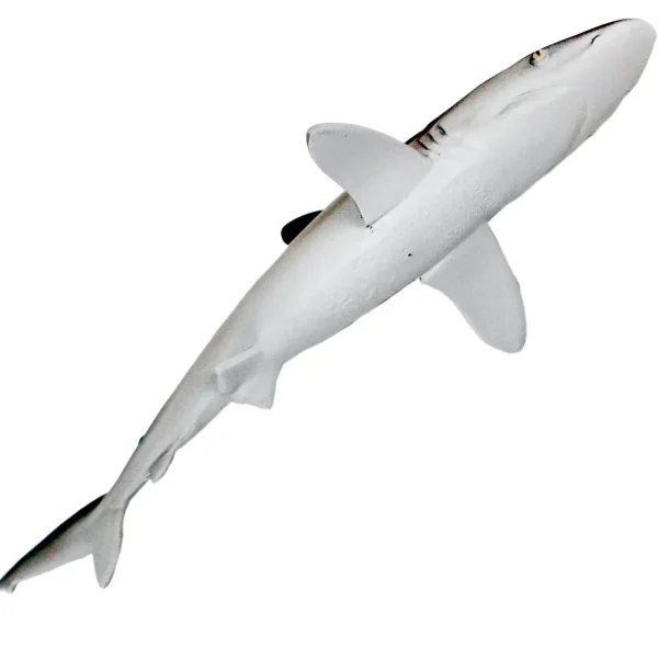 Outback Toys Play Animals & Accessories<Silky Shark by Safari