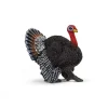 Manufacturer_Schleich Play Animals & Accessories<Tom Turkey by Schleich