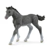 Manufacturer_Schleich Play Animals & Accessories<Trakehner Foal by Schleich