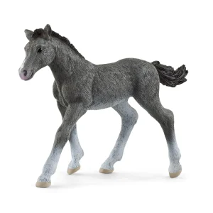 Manufacturer_Schleich Play Animals & Accessories<Trakehner Foal by Schleich