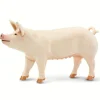 Outback Toys Play Animals & Accessories<White Pig by Safari Ltd